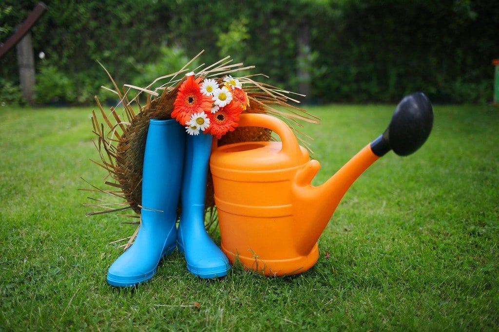 Choisir les outils indispensables pour potager réussi