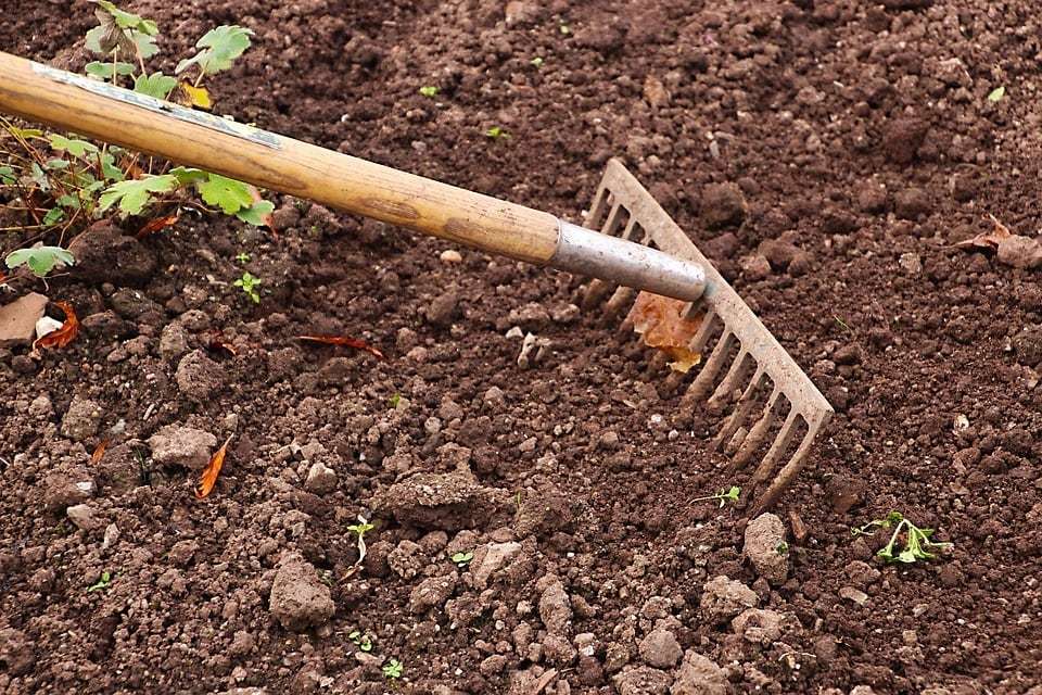 Entretenir des plantes vertes avec des astuces simples et pratiques